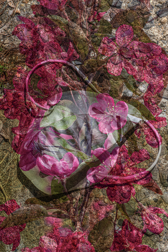 COVID-19 Mask with Spring Blossoms, 2020 © Jennifer Formica
