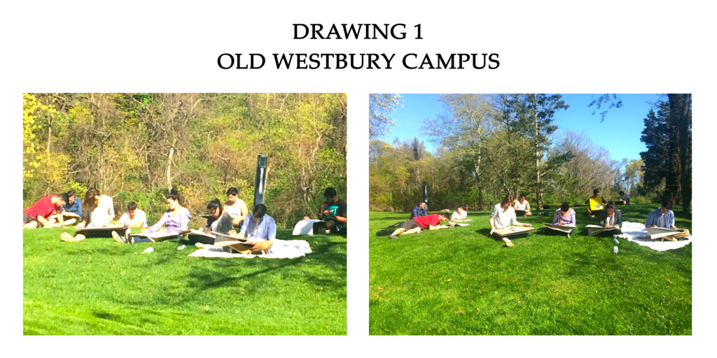 Drawing I Class Old Westbury Campus