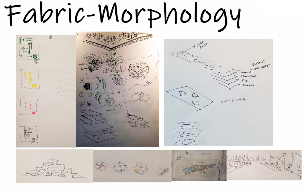 Diagrams for discussion - Fabric morphology (Prof. J. Raven)